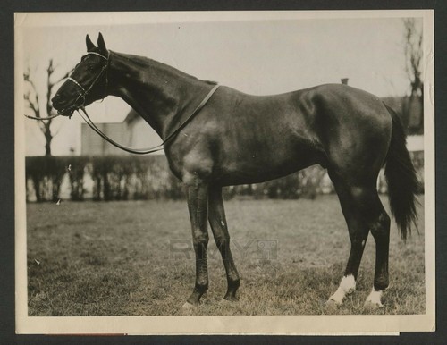 1928 dodgson prize - prize, winning