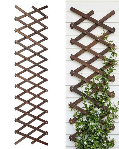 Expandable garden trellis - garden,