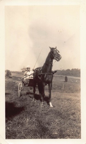 Vintage man sulky - man, cart