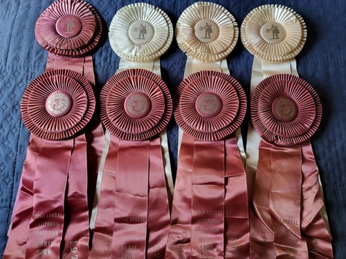 Del mar national horse show - del,