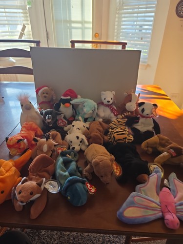 Lot assorted beanie - of,