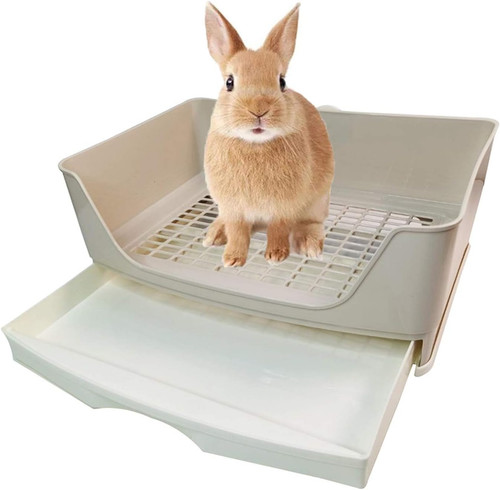 Large rabbit litter - rabbit,