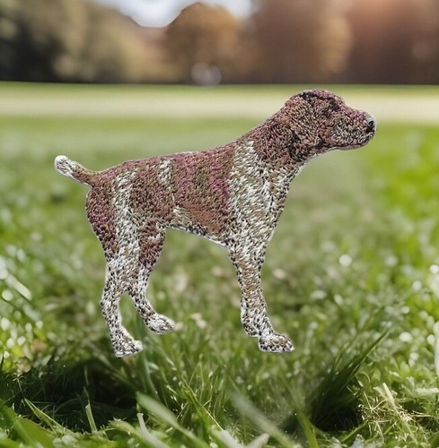 German shorthaired pointer dog - shorthaired,