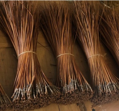 Long leaf pine needles for - leaf,