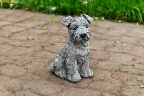 Concrete fox terrier dog - concrete,