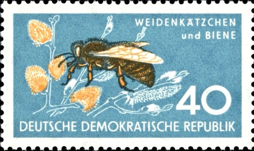 Ddr mi692 mnh - mnh, bee