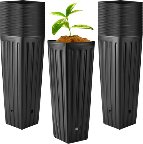 100 pcs tree pot tall - pcs,