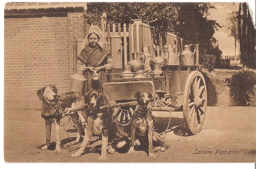 Dutch woman dog drawn - woman, &