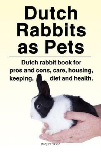 Dutch rabbits - dutch,