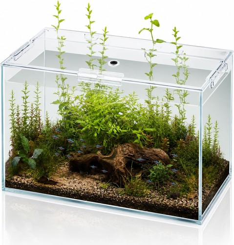 Gallon glass fish - gallon,