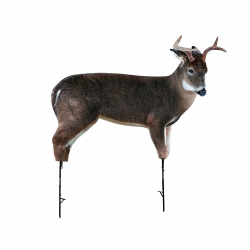 Montana decoy the freshman - montana,
