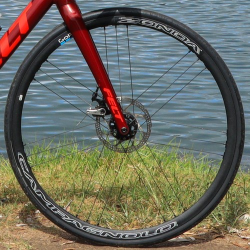 Complete wheel campagnolo - complete,