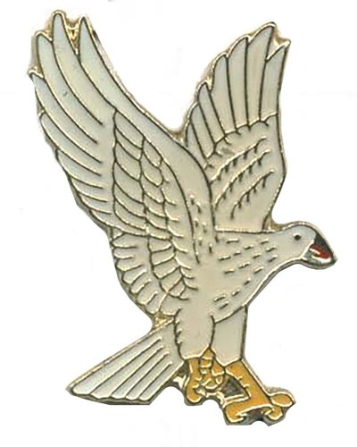 Pack white flying eagle - of, 3