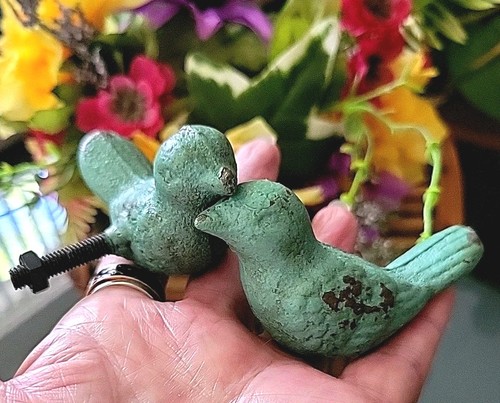 Teal blue cast - teal, bird