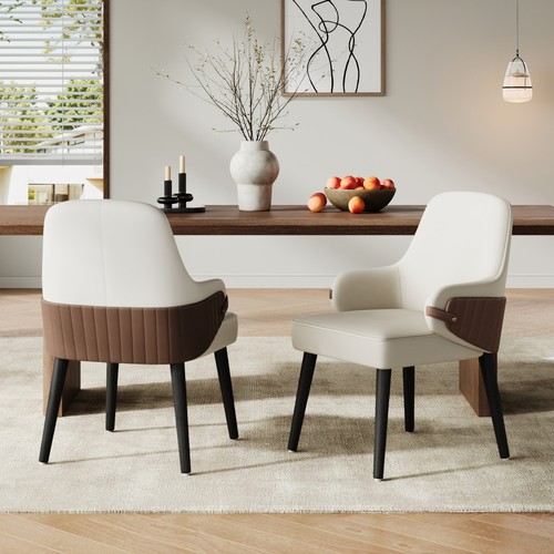 Indoor dining chair - indoor,