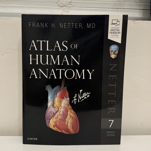 Atlas human anatomy netter - of,