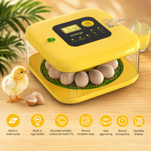 Egg incubators for hatching - egg,