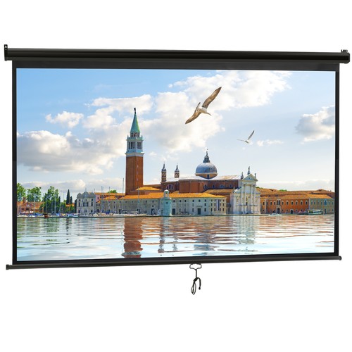 100inch manual pull down - manual,
