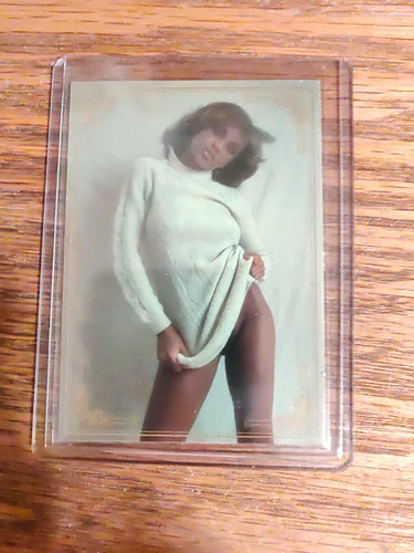1996 penthouse special edition - penthouse,