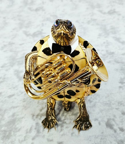 Turtle taxidermy tuba - turtle, tuba-playing