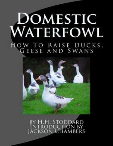 Domestic waterfowl how - how, to