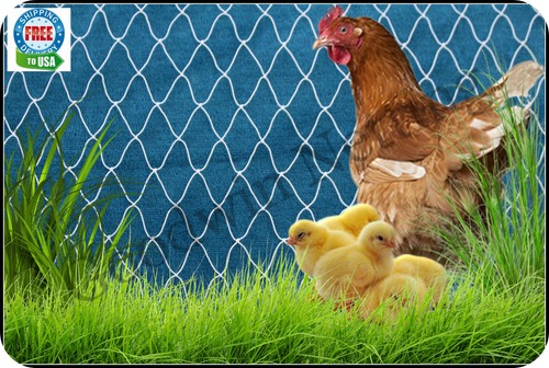 Poultry netting ducks - poultry, 7'
