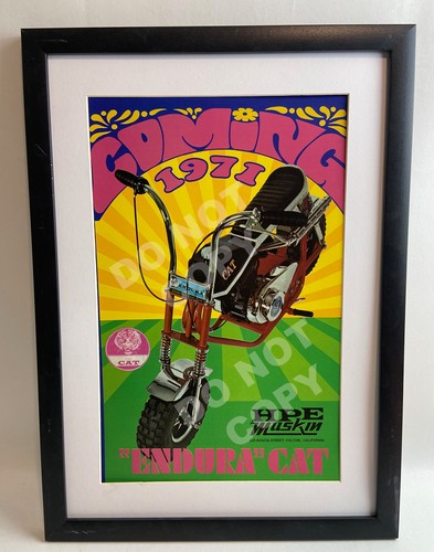 Cat endura vtg mini - endura, bike
