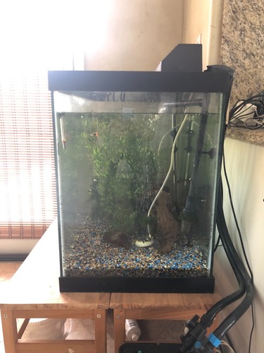 Aquarium tank gallon - aquarium, 60