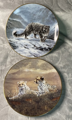 Lot wildcat plates by - lot,