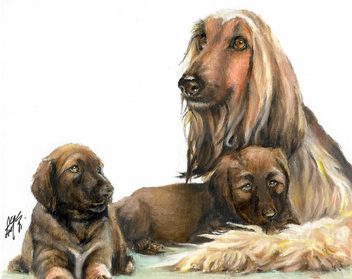 Original oil puppy dog - ❈,