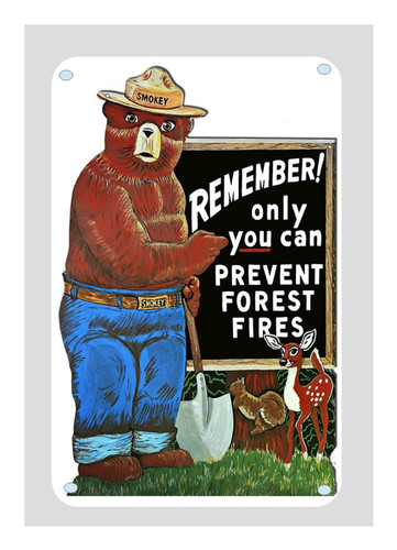 Smokey the bear - bear, only