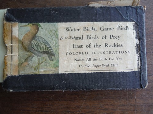 Bird guide water birds game - guide, birds,