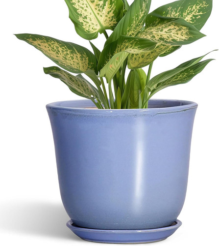 Ceramic plant pots - ceramic, inch