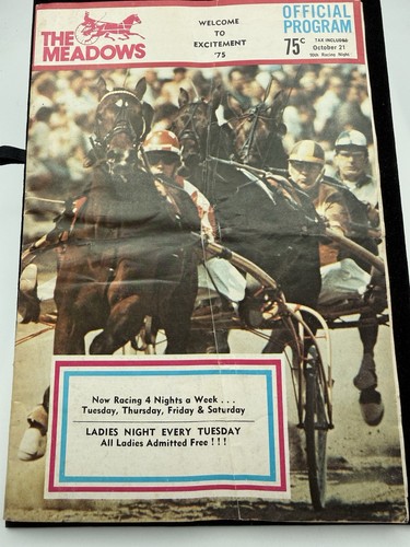 Rare 1975 vintage harness - 1975,