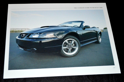 2004 ford mustang gto - 2004,