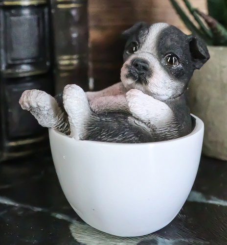 Realistic mini boston terrier - realistic,