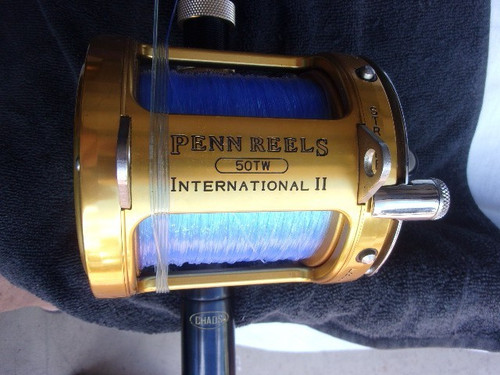 Penn international 50tw - penn,