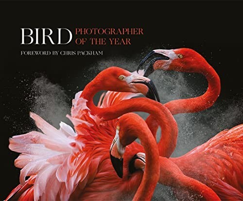 Bird photographer the year - of,