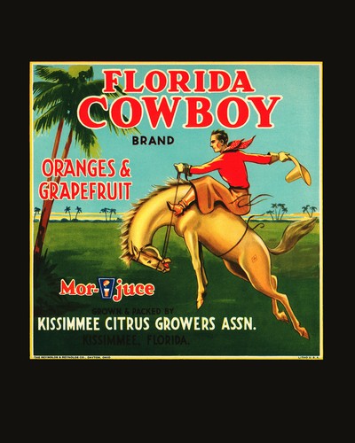 Quality poster florida cowboy - quality, poster.florida