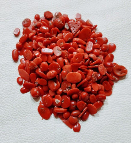 Red coral cabochon - coral, mix