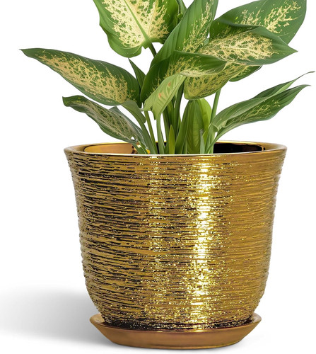 Inch plant pot ceramic - 5.6,
