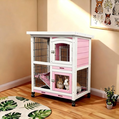 Rabbit hutch indoor - rabbit, outdoor