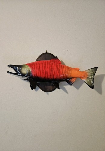 Sockeye salmon full - sockeye, mount