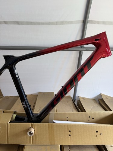 2019 giant tcr advanced - 2019,