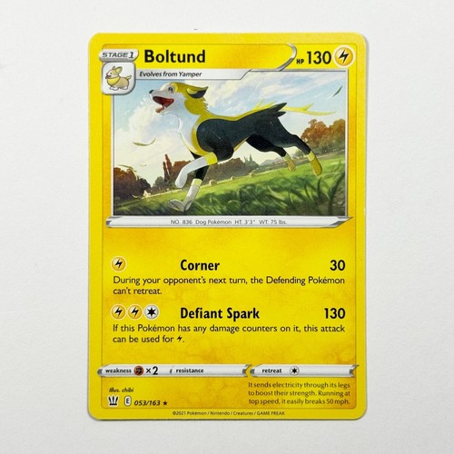 2021 pokemon battle - 2021,
