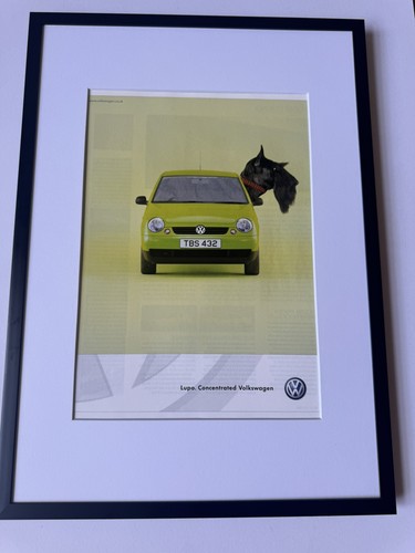 Framed original 2000 lupo - framed,