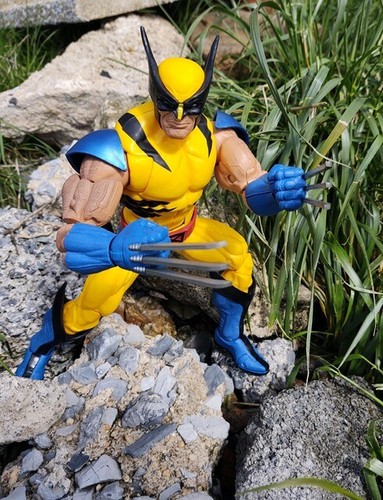 Marvel legends wolverine - marvel,