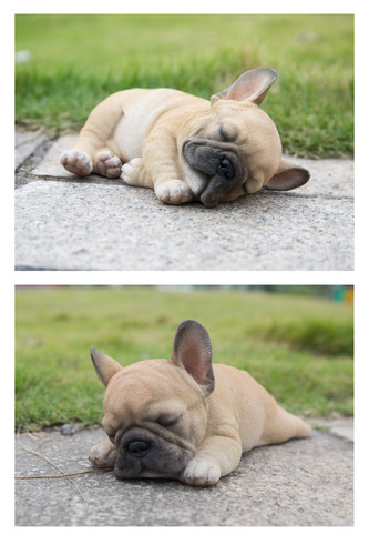 Sleeping french bulldog puppy - bulldog,