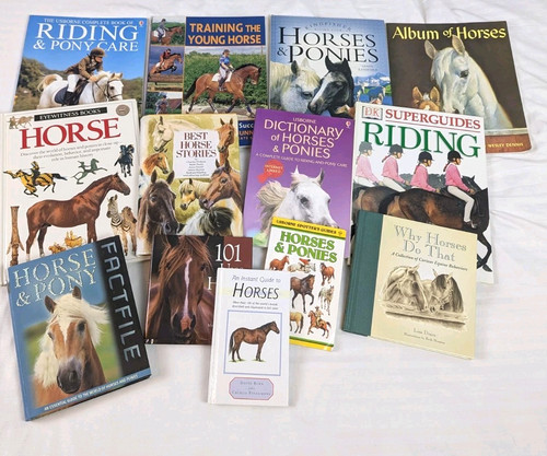 Horse pony equestrian - equestrian, riding