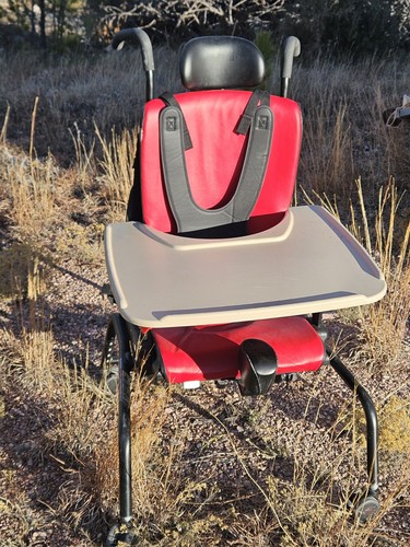Large rifton activity chair - activity,